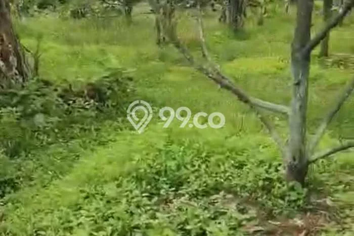 Tanah di Cigudeg, Luas 52000m², Kawasan Bisnis Tanah di Cigudeg, Luas 52000m², Kawasan Bisnis