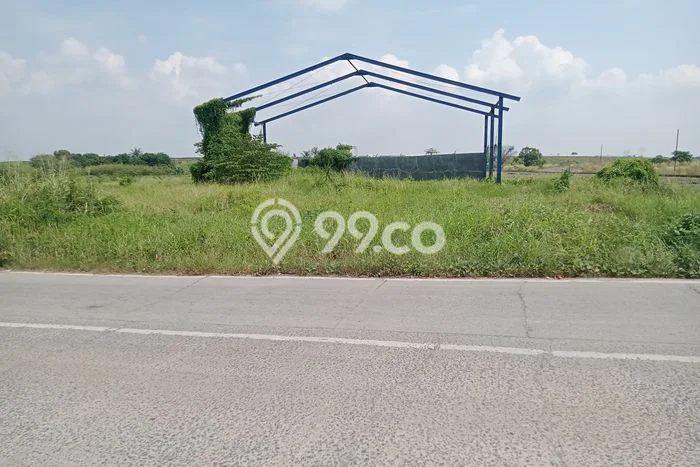 Kavling Tanah di Serang Dijual Luas 986m2 Legalitas - Kavling Tanah di Serang Dijual Luas 986m2 Legalitas -