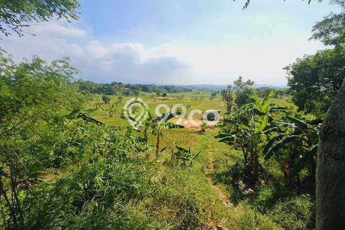 Tanah Dijual Lokasi Beber, Cirebon Luas 5510m2 Legalitas Aman Tanah Dijual Lokasi Beber, Cirebon Luas 5510m2 Legalitas Aman