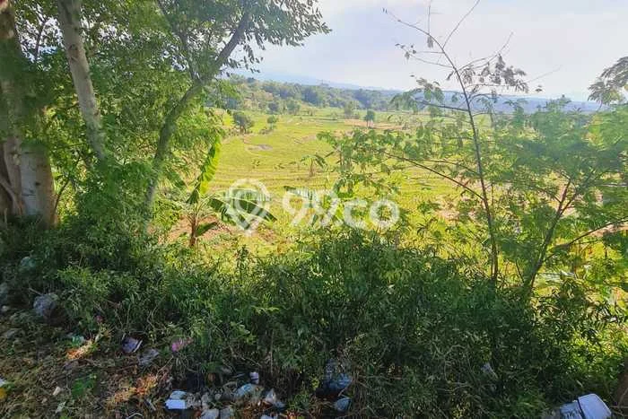Tanah Dijual Lokasi Beber, Cirebon Luas 5510m2 Legalitas Aman Tanah Dijual Lokasi Beber, Cirebon Luas 5510m2 Legalitas Aman