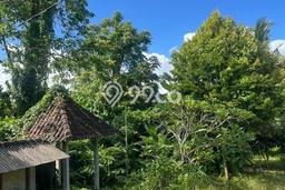 Tanah Dijual Lokasi Ubud, Gianyar dengan Luas Tanah 1100m2 dan Status SHM Tanah Dijual Lokasi Ubud, Gianyar dengan Luas Tanah 1100m2 dan Status SHM