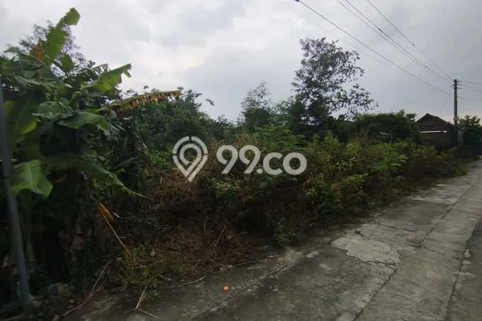 Tanah Kavling Dijual di Yogyakarta dengan Spesifikasi 1620m2 Tanah Kavling Dijual di Yogyakarta dengan Spesifikasi 1620m2