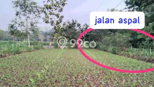 HARGA MENARIK! Tanah Kawasan Semanu, Luas 966m2m², Lokasi Potensial, Bebas Banjir HARGA MENARIK! Tanah Kawasan Semanu, Luas 966m2m², Lokasi Potensial, Bebas Banjir