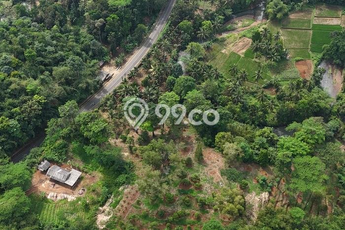 Lahan Investasi Lokasi Pandeglang Pandeglang SHM Lahan Investasi Lokasi Pandeglang Pandeglang SHM
