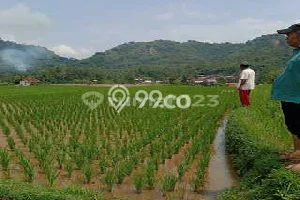 Tanah Komersial Dijual di Cireunghas Sukabumi 1110m2 Tanah Komersial Dijual di Cireunghas Sukabumi 1110m2