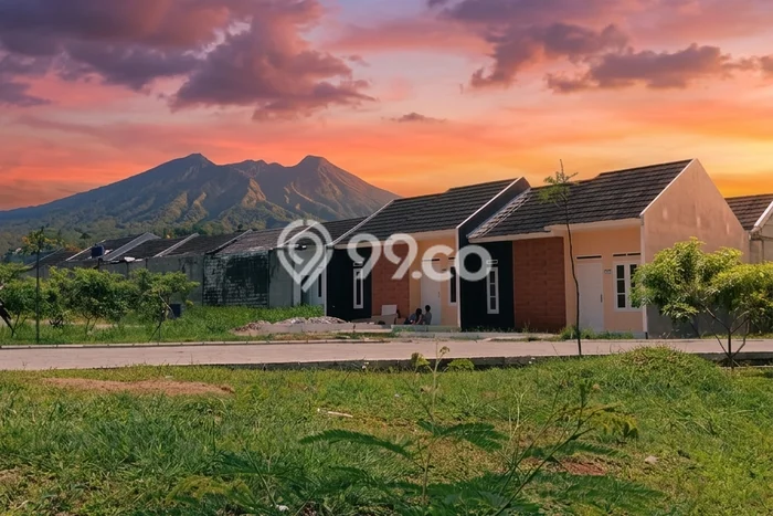 Rumah Budget Favorit Dijual di Cicurug LT 60m2 Rumah Budget Favorit Dijual di Cicurug LT 60m2