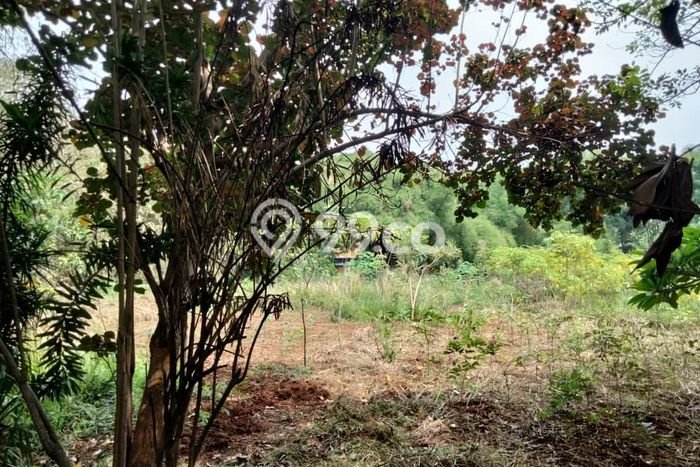 HARGA MENARIK! Tanah Kawasan Jelupang, Luas 14000m², Kawasan Berkembang, Bebas Banjir HARGA MENARIK! Tanah Kawasan Jelupang, Luas 14000m², Kawasan Berkembang, Bebas Banjir