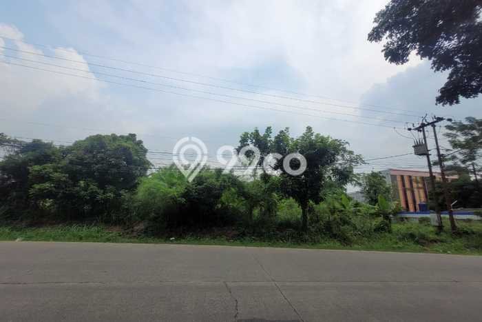 Jarang Ada! Tanah di Gunung Sindur Punya Luas 5000m2 SHM Jarang Ada! Tanah di Gunung Sindur Punya Luas 5000m2 SHM