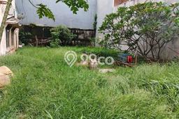 Lahan Kosong Dijual di Jakarta Timur dengan Area 225m2 Lahan Kosong Dijual di Jakarta Timur dengan Area 225m2
