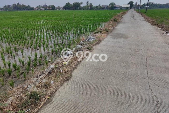 Tanah Kavling Dijual di Bekasi, Bekasi dengan Luas Tanah 14687m2 Tanah Kavling Dijual di Bekasi, Bekasi dengan Luas Tanah 14687m2