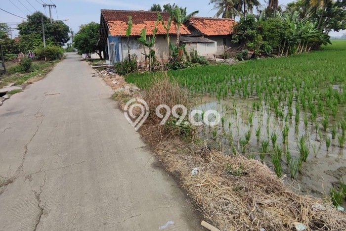 Tanah Kavling Dijual di Bekasi, Bekasi dengan Luas Tanah 14687m2 Tanah Kavling Dijual di Bekasi, Bekasi dengan Luas Tanah 14687m2