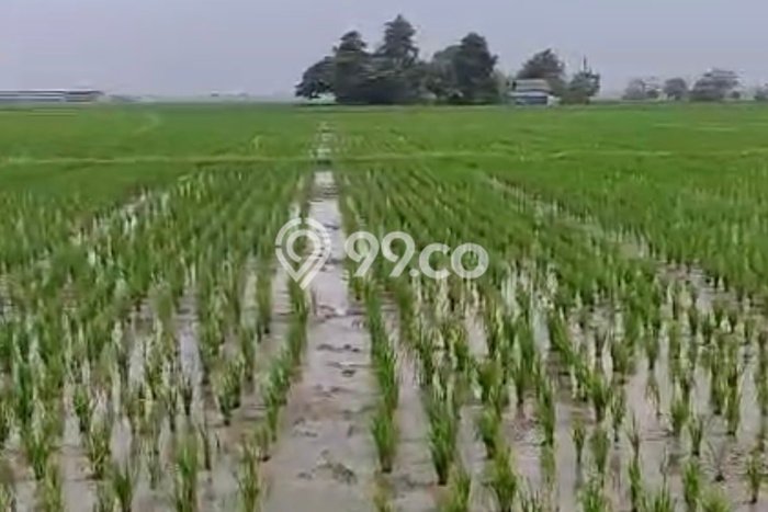 Tanah Kavling Dijual di Bekasi, Bekasi dengan Luas Tanah 14687m2 Tanah Kavling Dijual di Bekasi, Bekasi dengan Luas Tanah 14687m2