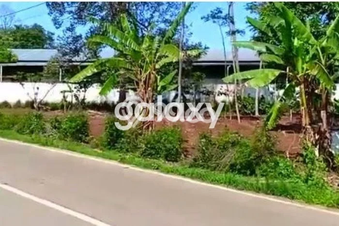 Tanah Kavling di Boja Dijual dengan Luas 470m2 Tanah Kavling di Boja Dijual dengan Luas 470m2
