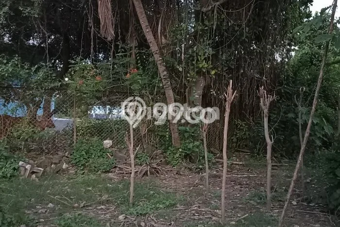 Dijual Tanah 3200m2 di Singaraja, Buleleng Dijual Tanah 3200m2 di Singaraja, Buleleng