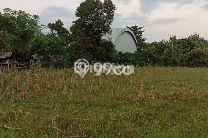 Dijual Tanah 3200m2 di Singaraja, Buleleng Dijual Tanah 3200m2 di Singaraja, Buleleng