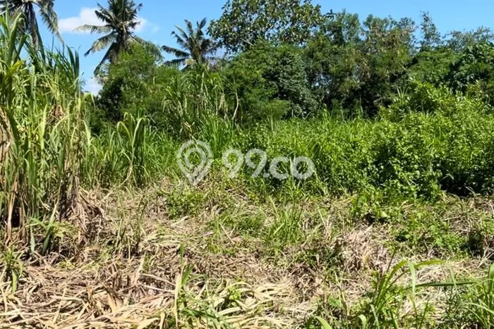 Kavling Tanah Lokasi Strategis di Tabanan, Tabanan Disewakan 1700m2 Kavling Tanah Lokasi Strategis di Tabanan, Tabanan Disewakan 1700m2