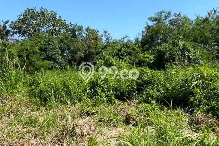 Kavling Tanah Lokasi Strategis di Tabanan, Tabanan Disewakan 1700m2 Kavling Tanah Lokasi Strategis di Tabanan, Tabanan Disewakan 1700m2