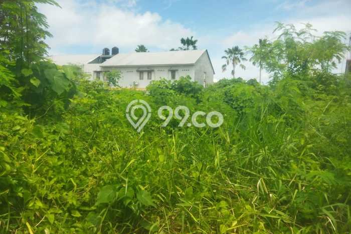 Tanah Disewakan Lokasi Seminyak Badung Luas 732m2 Tanah Disewakan Lokasi Seminyak Badung Luas 732m2