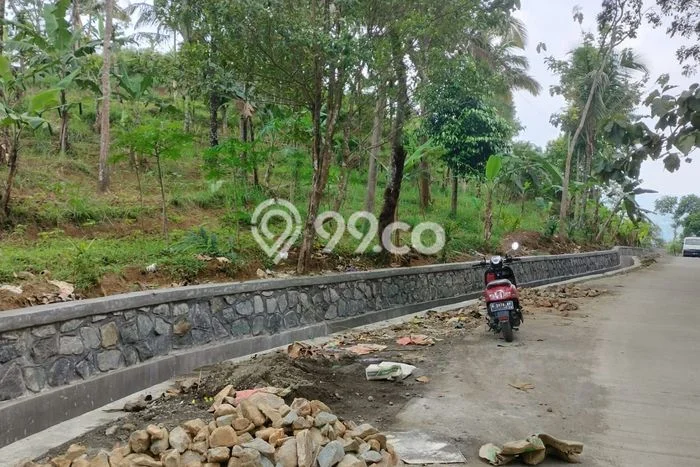 Kavling Tanah Dijual di Bumijawa Tegal Spesifikasi 3006m2 Kavling Tanah Dijual di Bumijawa Tegal Spesifikasi 3006m2