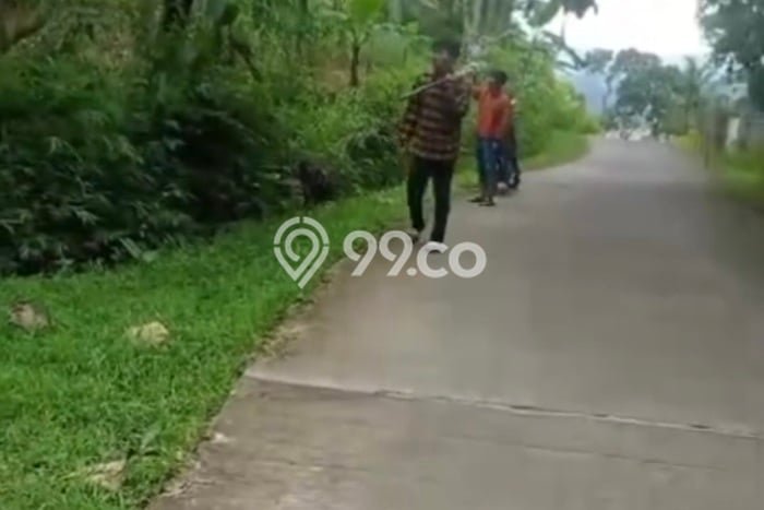 Kavling Tanah Dijual di Bumijawa Tegal Spesifikasi 3006m2 Kavling Tanah Dijual di Bumijawa Tegal Spesifikasi 3006m2
