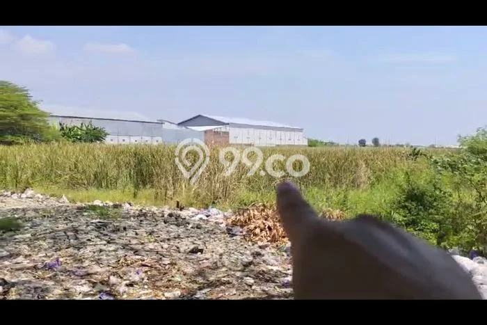 Lahan Dijual Lokasi Tegal Barat, Tegal dengan Luas Tanah 6090m2 dan Status SHM Lahan Dijual Lokasi Tegal Barat, Tegal dengan Luas Tanah 6090m2 dan Status SHM
