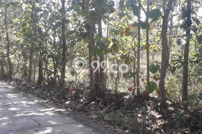 Tanah Kawasan Manyaran, Luas 9482m2m², Jalur Mudah, Area Berkembang Tanah Kawasan Manyaran, Luas 9482m2m², Jalur Mudah, Area Berkembang