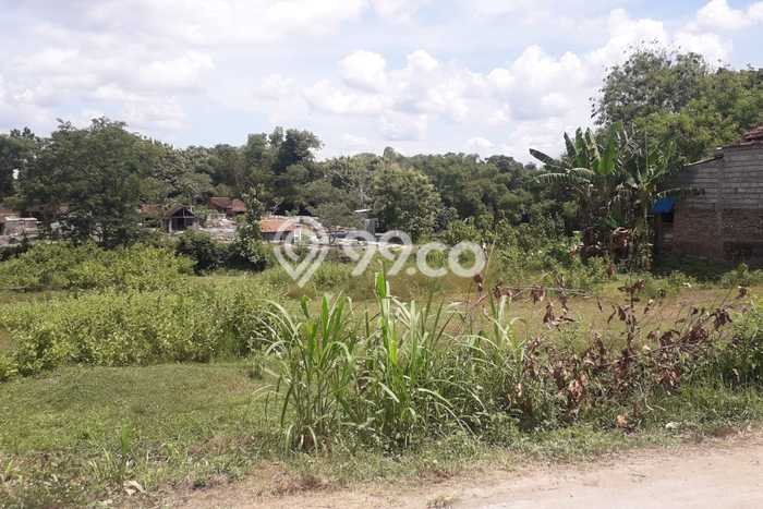 Kavling Tanah Dijual di Polokarto Sukoharjo Spesifikasi 2153m2 Kavling Tanah Dijual di Polokarto Sukoharjo Spesifikasi 2153m2