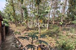 Tanah Dijual Lokasi Karanganyar, Solo dengan Luas Tanah 1089m2 dan Status SHM Tanah Dijual Lokasi Karanganyar, Solo dengan Luas Tanah 1089m2 dan Status SHM