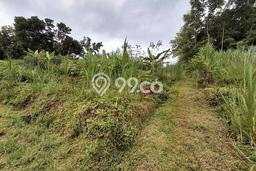 Lahan Investasi Lokasi Matesih Karanganyar SHM Lahan Investasi Lokasi Matesih Karanganyar SHM
