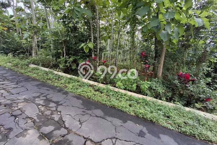 Lahan Investasi Lokasi Matesih Karanganyar SHM Lahan Investasi Lokasi Matesih Karanganyar SHM