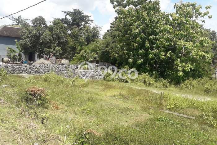 Kavling Tanah Dijual di Polokarto Sukoharjo Spesifikasi 2153m2 Kavling Tanah Dijual di Polokarto Sukoharjo Spesifikasi 2153m2