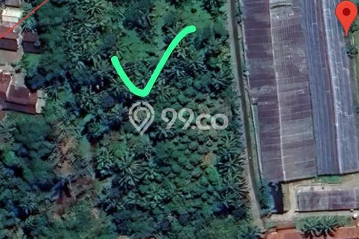 Tanah Dijual Lokasi Sawangan, Magelang Luas 6885m2 Legalitas Aman Tanah Dijual Lokasi Sawangan, Magelang Luas 6885m2 Legalitas Aman