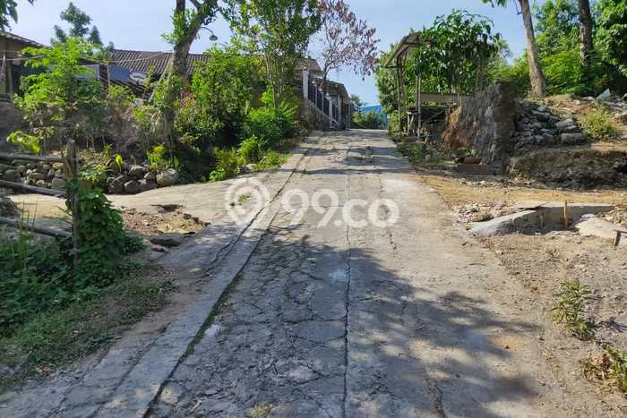 Kavling Tanah di Gondangrejo Dijual Luas 612m2 Legalitas - Kavling Tanah di Gondangrejo Dijual Luas 612m2 Legalitas -