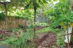 Jarang Ada! Tanah di Gondangrejo Punya Luas 150m2 SHM Jarang Ada! Tanah di Gondangrejo Punya Luas 150m2 SHM