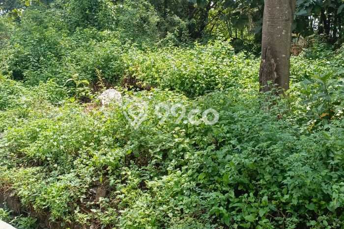 Tanah Dijual di Surakarta Seluas 4775m2 Strategis Tanah Dijual di Surakarta Seluas 4775m2 Strategis