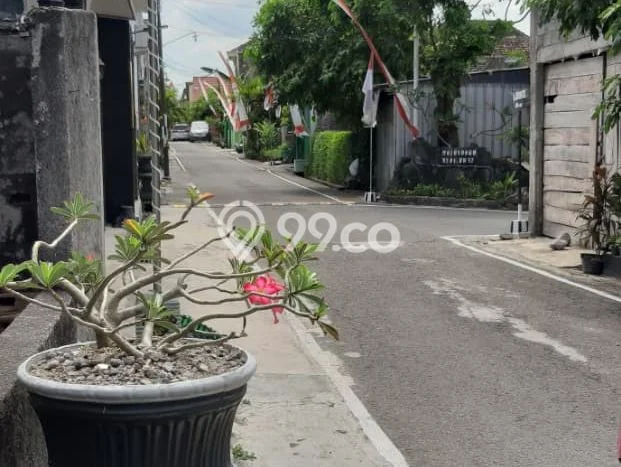Rumah Luas Asri 5 KT Siap Pakai di Mojosongo Surakarta Rumah Luas Asri 5 KT Siap Pakai di Mojosongo Surakarta