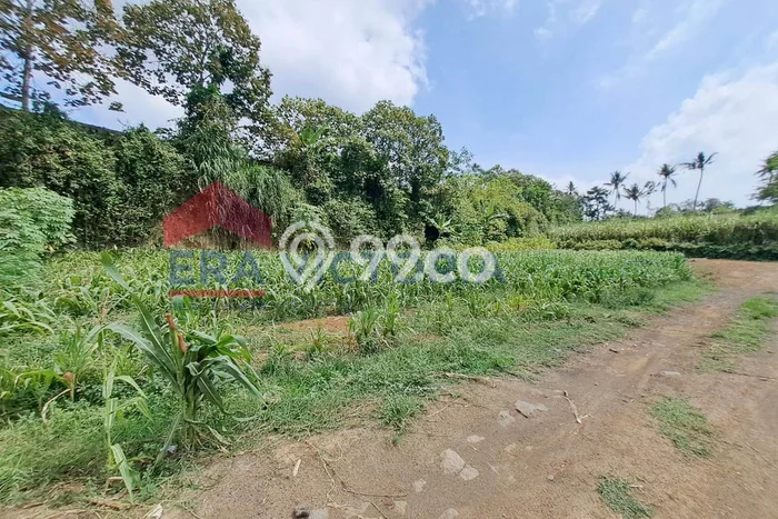 HARGA TERBAIK! Tanah di Tajinan, Luas 143m2m², Area Strategis HARGA TERBAIK! Tanah di Tajinan, Luas 143m2m², Area Strategis