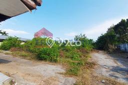 Untuk Dijual Tanah di Muncar Banyuwangi Luas 11835m2 SHM Untuk Dijual Tanah di Muncar Banyuwangi Luas 11835m2 SHM