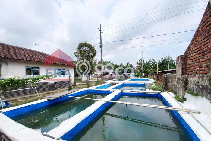 Dijual Tanah Area Berkembang Kawasan Wonosari, Luas 899m2m², Area Asri Dijual Tanah Area Berkembang Kawasan Wonosari, Luas 899m2m², Area Asri