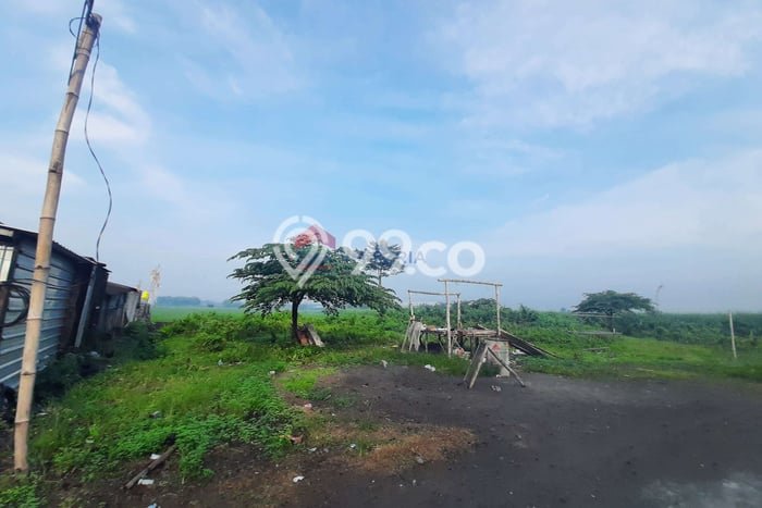 Tanah Strategis di Jombang, Luas 140m2m², Cocok untuk Perumahan Tanah Strategis di Jombang, Luas 140m2m², Cocok untuk Perumahan