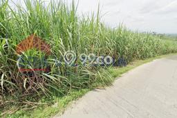 Tanah Komersial Dijual di Wagir Malang 6097m2 Tanah Komersial Dijual di Wagir Malang 6097m2