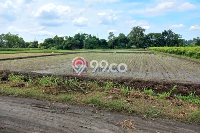 SEWA LAHAN! Tanah Kawasan Gurah, Luas 7696m2m², Area Komersial SEWA LAHAN! Tanah Kawasan Gurah, Luas 7696m2m², Area Komersial