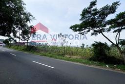 Tanah Dijual Lokasi Poncokusumo, Malang dengan Luas Tanah 25105m2 dan Status SHM Tanah Dijual Lokasi Poncokusumo, Malang dengan Luas Tanah 25105m2 dan Status SHM