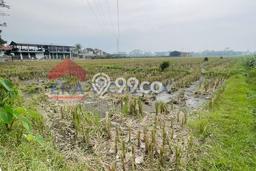 Lahan Kosong Dijual di Kepanjen, Malang, Luas 5126m2 Area Strategis Lahan Kosong Dijual di Kepanjen, Malang, Luas 5126m2 Area Strategis
