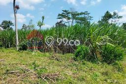 Kavling Tanah Dijual di Poncokusumo Malang Spesifikasi 9760m2 Kavling Tanah Dijual di Poncokusumo Malang Spesifikasi 9760m2