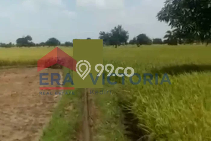 Kavling Tanah Dijual di Sarirejo, Lamongan, Luas 6878m2 Area Strategis Kavling Tanah Dijual di Sarirejo, Lamongan, Luas 6878m2 Area Strategis