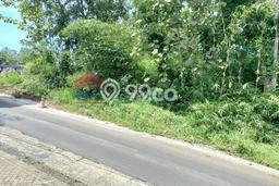 Kavling Tanah di Wagir Dijual Luas 3025m2 Legalitas SHM Kavling Tanah di Wagir Dijual Luas 3025m2 Legalitas SHM