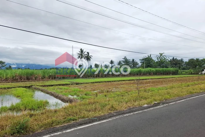 Tanah Strategis Dijual di Tumpang Malang 2070m2 Tanah Strategis Dijual di Tumpang Malang 2070m2