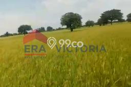 Kavling Tanah Dijual di Sarirejo, Lamongan, Luas 6878m2 Area Strategis Kavling Tanah Dijual di Sarirejo, Lamongan, Luas 6878m2 Area Strategis
