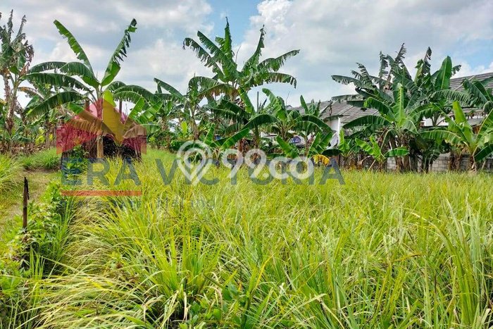 Tanah Kawasan Pakisaji, Luas 144m2m², Jalur Strategis Tanah Kawasan Pakisaji, Luas 144m2m², Jalur Strategis